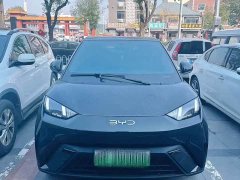 BYD Seagull Smart Drive 405km Flight Edition - ფოტო 2