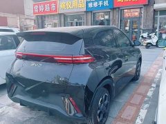 BYD Seagull Smart Drive 405km Flight Edition - ფოტო 3