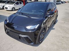 BYD Seagull Glory Edition 305km Freedom Version - ფოტო 1