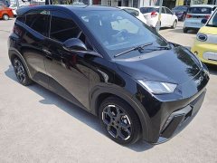 BYD Seagull Glory Edition 305km Freedom Version - ფოტო 3