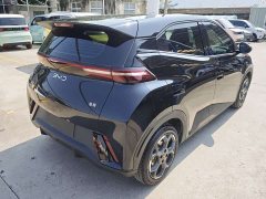 BYD Seagull Glory Edition 305km Freedom Version - ფოტო 6