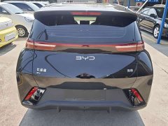 BYD Seagull Glory Edition 305km Freedom Version - ფოტო 7