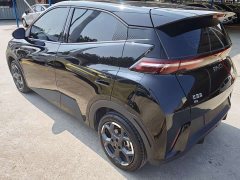 BYD Seagull Glory Edition 305km Freedom Version - ფოტო 8
