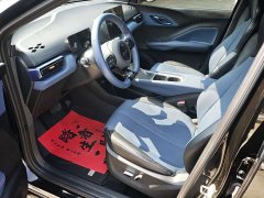 BYD Seagull Glory Edition 305km Freedom Version - ფოტო 9