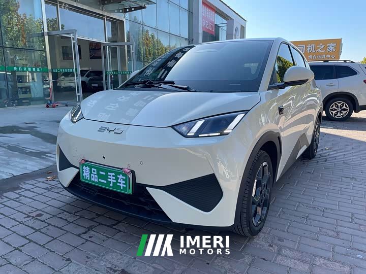 BYD Seagull 305km Freedom Edition - ავტომობილი ჩინეთიდან