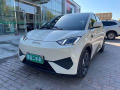 BYD Seagull 305km Freedom Edition - ფოტო 1