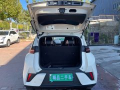 BYD Seagull 305km Freedom Edition - ფოტო 16