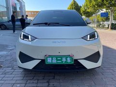 BYD Seagull 305km Freedom Edition - ფოტო 2