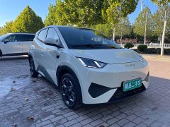 BYD Seagull 305km Freedom Edition - ფოტო 3