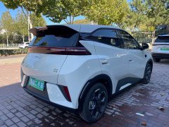BYD Seagull 305km Freedom Edition - ფოტო 4