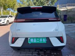 BYD Seagull 305km Freedom Edition - ფოტო 5