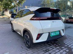 BYD Seagull 305km Freedom Edition - ფოტო 6