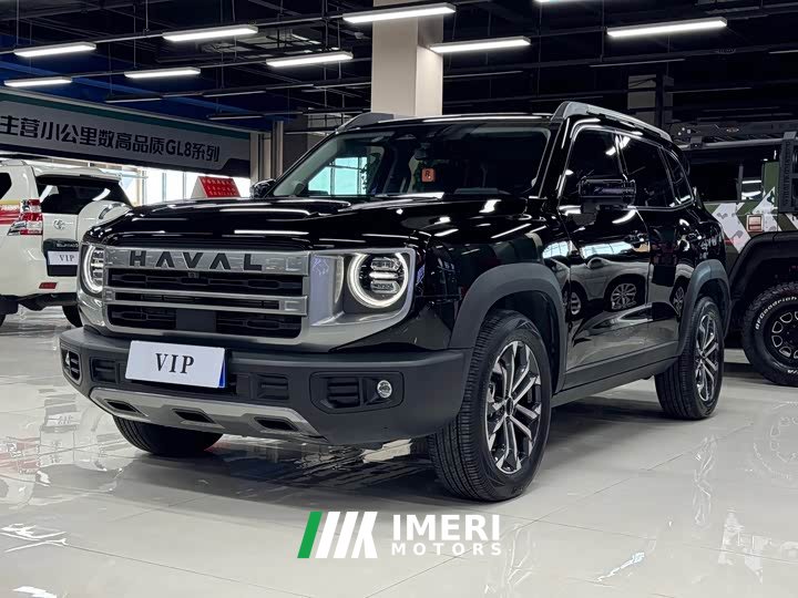 Great Wall Dachshund 2024 1.5T DCT Border Collie Edition - ავტომობილი ჩინეთიდან