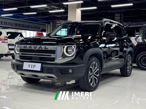 2025 Great Wall Dachshund 2024 1.5T DCT Border Collie Edition - ავტომობილი ჩინეთიდან