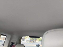 Changan Lumin 2023 205km Xiangqin Edition - ფოტო 14