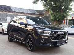 Haval H6 National Trend Edition 1.5T Automatic Urban Version - ფოტო 3