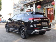 Haval H6 National Trend Edition 1.5T Automatic Urban Version - ფოტო 9