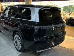 Leapmotor D19 Extended Range 500 Deluxe Edition Six-Seater - ფოტო 13