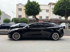 Tesla Model 3 Facelift Standard Range RWD Upgrade 3D1 - ფოტო 4