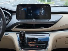 Buick GL8 Land Executive Cabin Premium - ფოტო 9