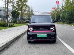 Geely Panda 2025 210km Panda Kart - ფოტო 2