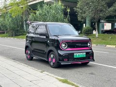 Geely Panda 2025 210km Panda Kart - ფოტო 3