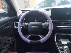 Haval H6 National Trend Edition 1.5T Automatic Urban Version - ფოტო 11