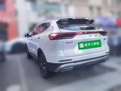 Haval H6 National Trend Edition 1.5T Automatic Urban Version - ფოტო 4
