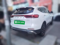Haval H6 National Trend Edition 1.5T Automatic Urban Version - ფოტო 6