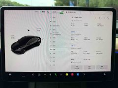Tesla Model 3 2022 Rear-Wheel Drive - ფოტო 15
