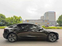 Tesla Model 3 2022 Rear-Wheel Drive - ფოტო 6