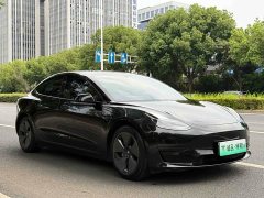 Tesla Model 3 2022 Rear-Wheel Drive - ფოტო 7