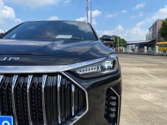 Jetour Jietu X70 PLUS 1.5T DCT Brave PLUS 7-Seater - ფოტო 19
