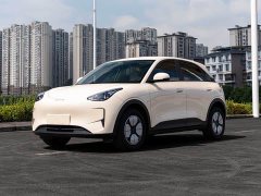 Geely Xing Yuan 310km Dream Edition - ფოტო 1