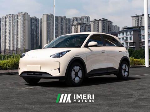 2025 Geely Xing Yuan 310km Dream Edition