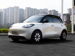 Wuling Binguo 333km Joy Edition - ფოტო 1