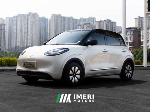2024 Wuling Binguo 333km Joy Edition