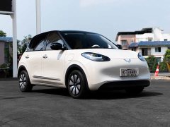 Wuling Binguo 333km Joy Edition - ფოტო 3