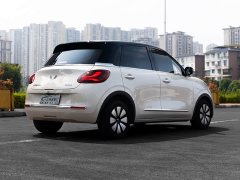 Wuling Binguo 333km Joy Edition - ფოტო 6