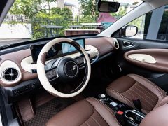 Wuling Binguo 333km Joy Edition - ფოტო 7
