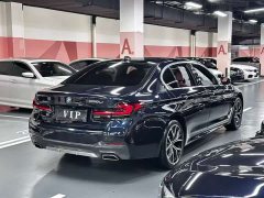 BMW 5 Series 530Li Luxury M Sport Package - ფოტო 8