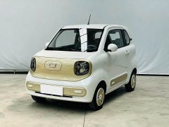 FAW Besturn Xiaoma 222km Dynamic Edition - ფოტო 1