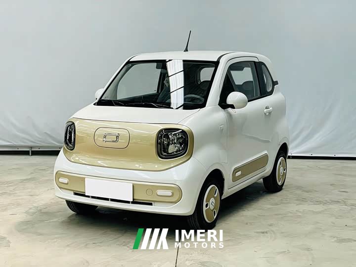 FAW Besturn Xiaoma 222km Dynamic Edition