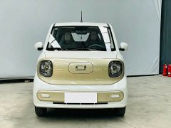 FAW Besturn Xiaoma 222km Dynamic Edition - ფოტო 2