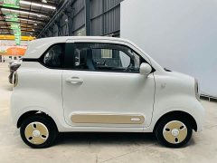 FAW Besturn Xiaoma 222km Dynamic Edition - ფოტო 8