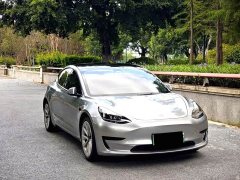 Tesla Model 3 Rear-Wheel Drive - ფოტო 3