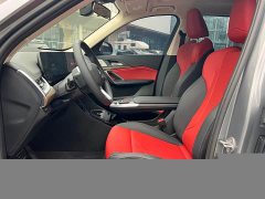 BMW X1 sDrive25Li X Design Package - ფოტო 4
