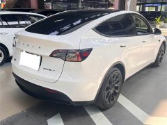 Tesla Model Y Standard Range RWD - ფოტო 9