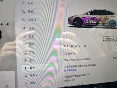 Tesla Model 3 Rear-Wheel Drive - ფოტო 6