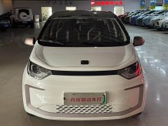 Flower Fairy 302km Luxury 31.4kWh - ფოტო 2